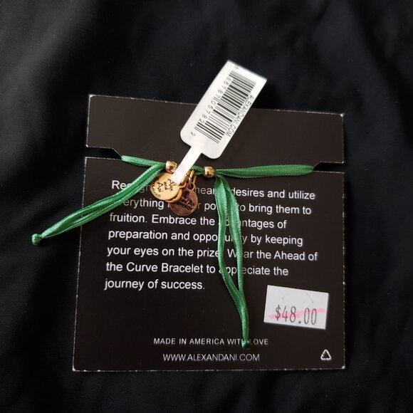 Alex and Ani Crystal Ahead Of The Curve Positivity Fortune Opportunity  … - Picture 6 of 7